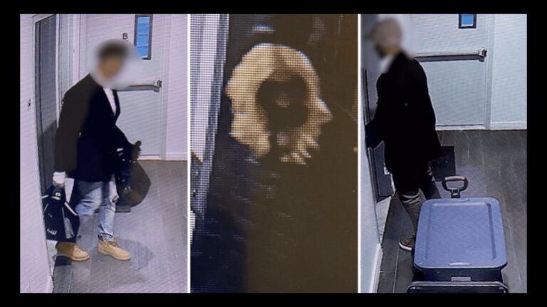 Asaltante vestido de mujer