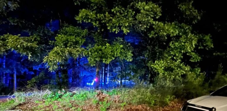 Asesinato niños dominicanos