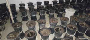 Laboratorio drogas