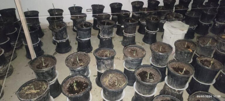 Laboratorio drogas