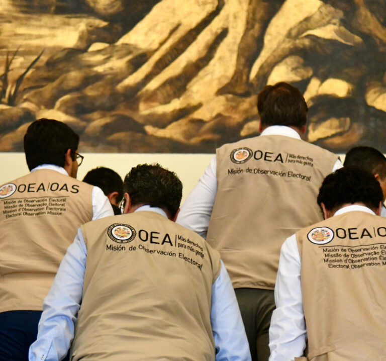 Observadores OEA
