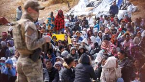 Migrantes 1