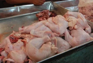 pollo
