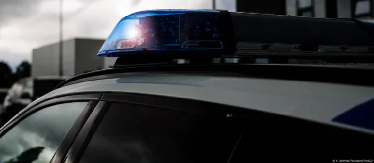 Busqueda diputado argentino