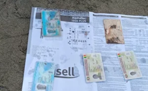 IDENTIFICACIONES-DE-SENEGAL-1140x694-1-650x400
