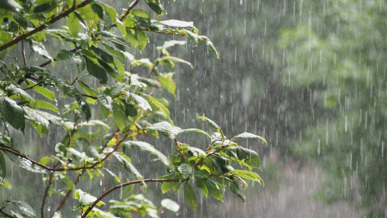 lluvia en provincias