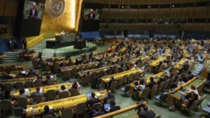 Asamblea General de la ONU