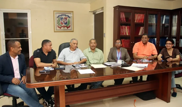 Comision electoral ADP