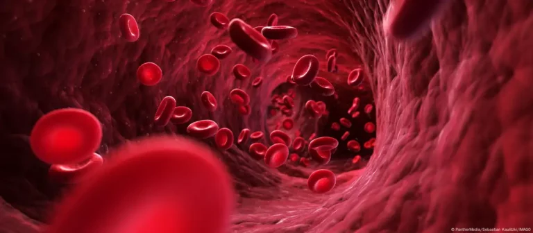 Nuevo grupo sanguineo