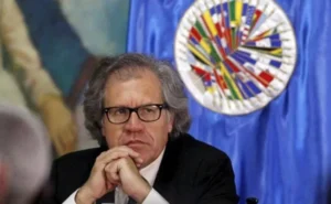 LUIS-ALMAGRO-
