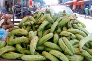 Platanos a patadas