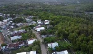 Haitianos asentados en areas protegidas