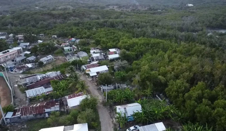 Haitianos asentados en areas protegidas