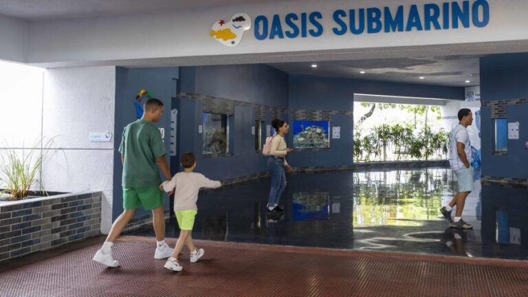 acuario-nacional-muestra-la-resiliencia-de-especies-en-reapertura--focus-0.27-min0.13-896-504