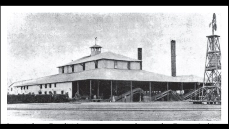 los-cocolos-una-parte-importante-de-la-identidad-dominicana-focus-min0.06-0.13-896-504