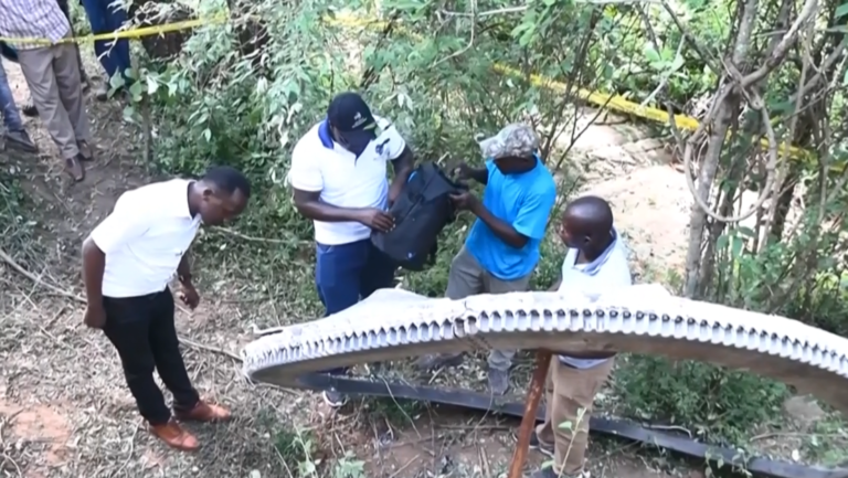 Anillo cae del cielo en Kenia