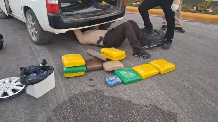 Confiscan marihuana 15