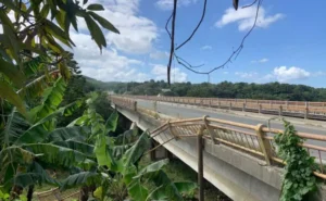 Puente Luca Diaz se cae
