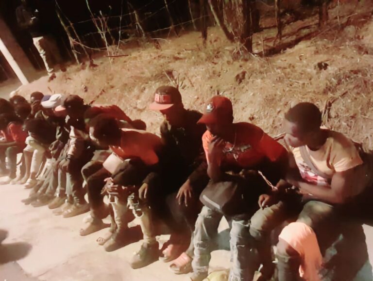 29 Haitianos detenidos
