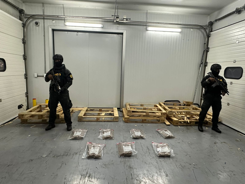 Cinfiscan drogas en madera