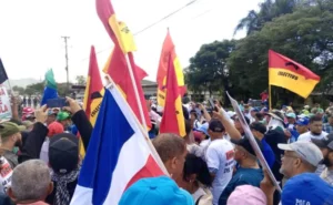 Coordinadora Popular