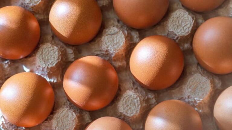 Escasez de huevos