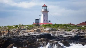 Isla Machias Seal, en disputa EEUU- Canada