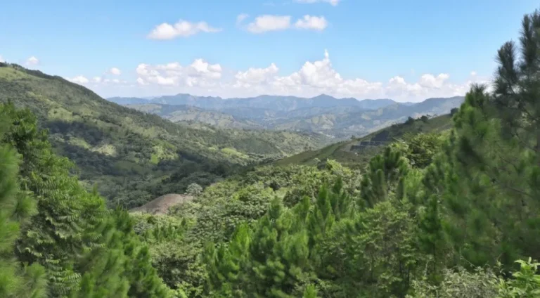 De Sabanet a Sabaneta