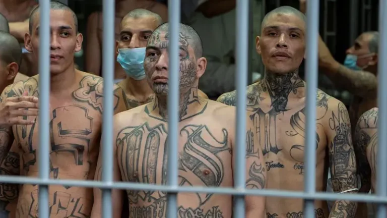 Los MS-13
