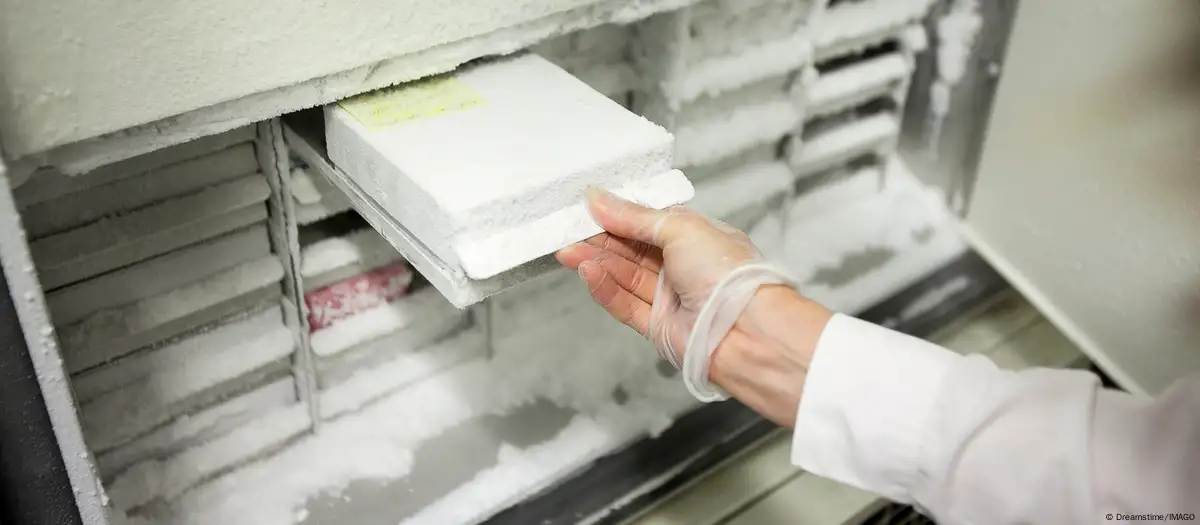 Heces fecales congeladas