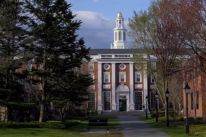 Patio de Harvard