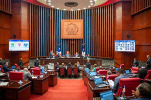 Sesion de senadores por el codigo penal