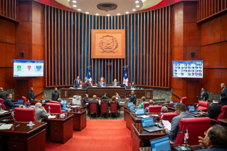 Sesion de senadores por el codigo penal