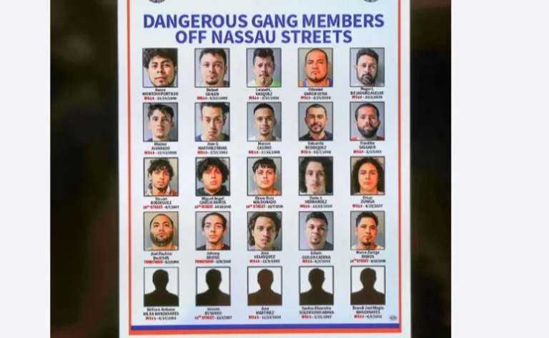 Varios detenidos de MS-13