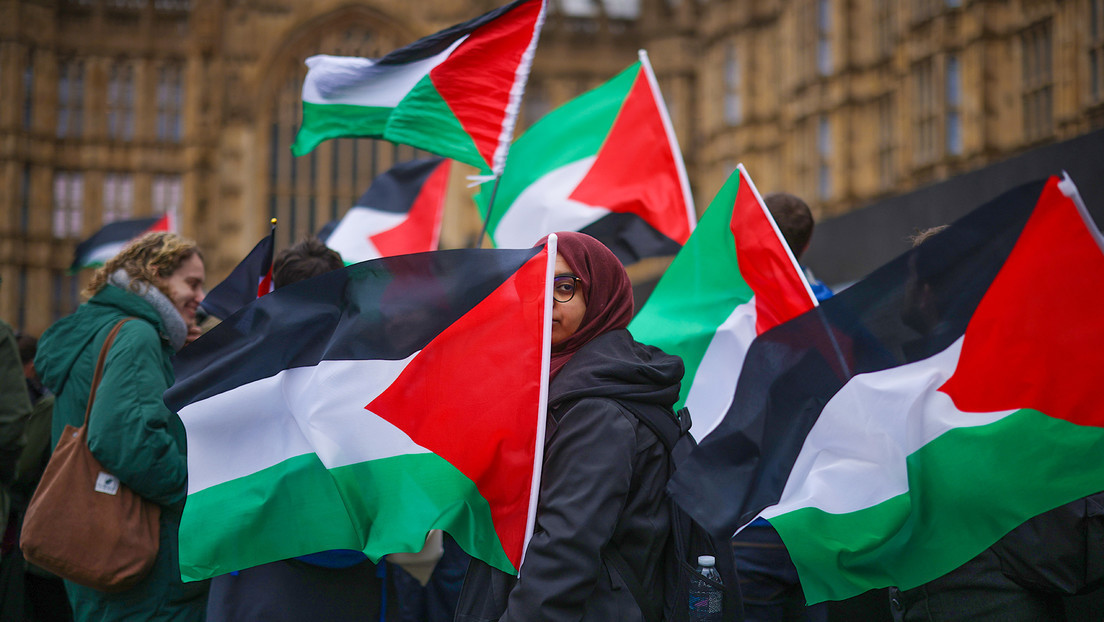Pro-Palestina