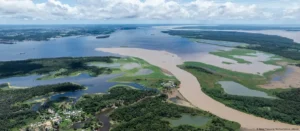 Explotaran petroleo en La Amazonia