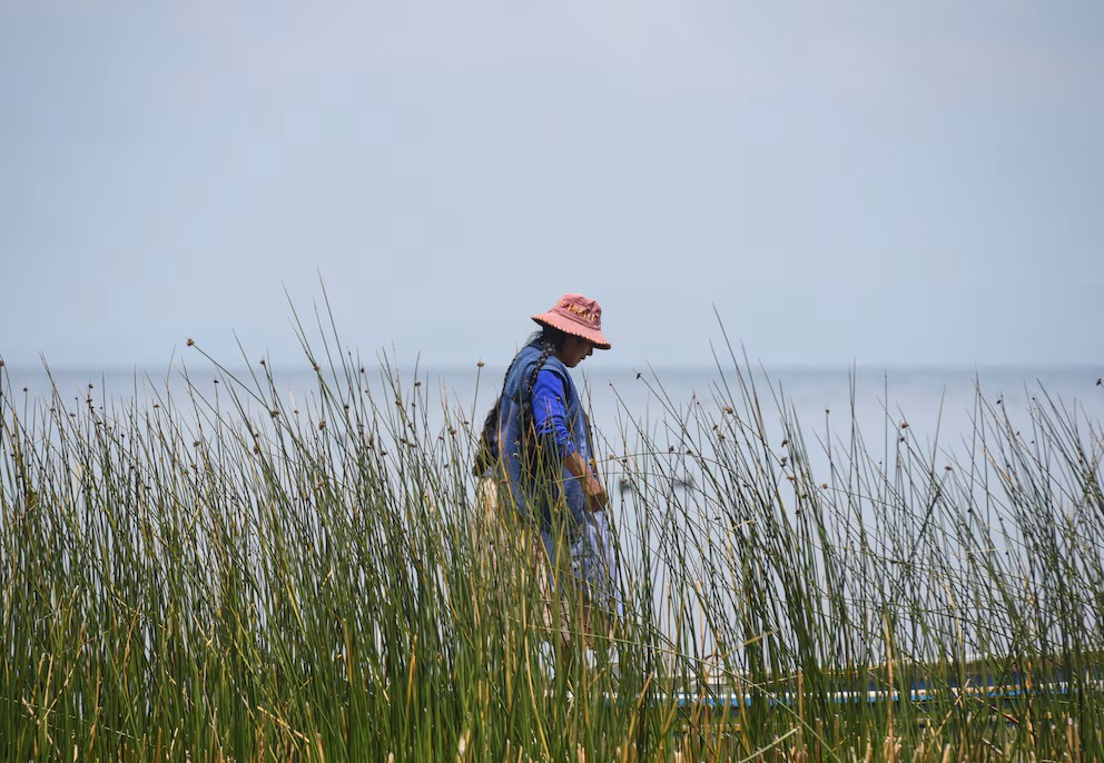 Mjer indigena navega por el Lago Titicaca
