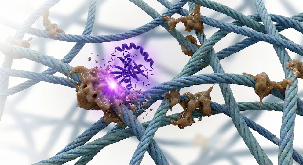 Descubren una enzima que podría ayudar a rejuvenecer los tejidos del cuerpo