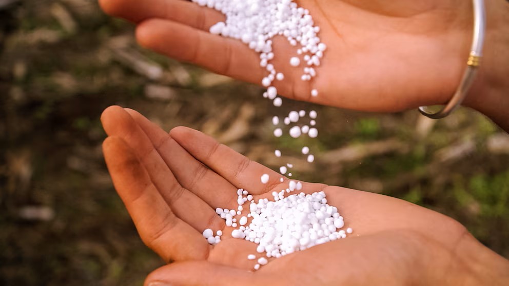 La guerra en el Golfo y el precio de los fertilizantes: cuánto le costó el aumento al campo argentino