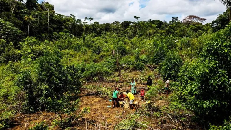 La chagra de la amazonia colombiana