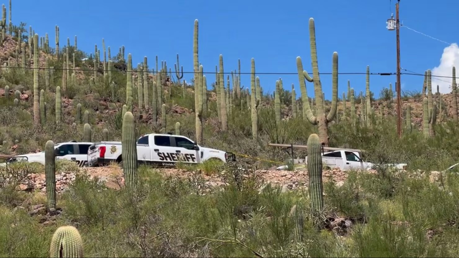 Hallan restos a kilómetros de la casa de Nancy Guthrie; aún no hay indicio de conexión con el caso, según la policía