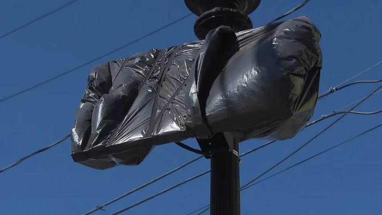 ¿Por qué las cámaras de Flock en Massachusetts ahora están cubiertas con bolsas de basura negras?