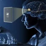 El “interruptor de luz” para neuronas por el que 3 científicos ganaron el Nobel de Medicina y que ayuda a descifrar los misterios del cerebro