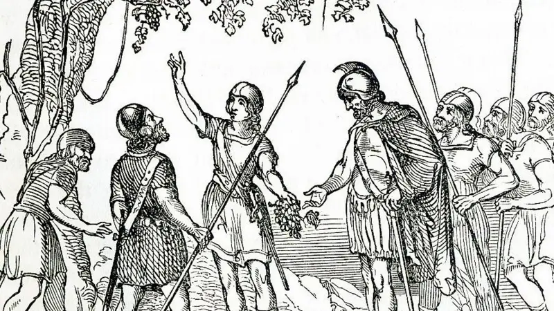 Los vikingos denominaron Vidland